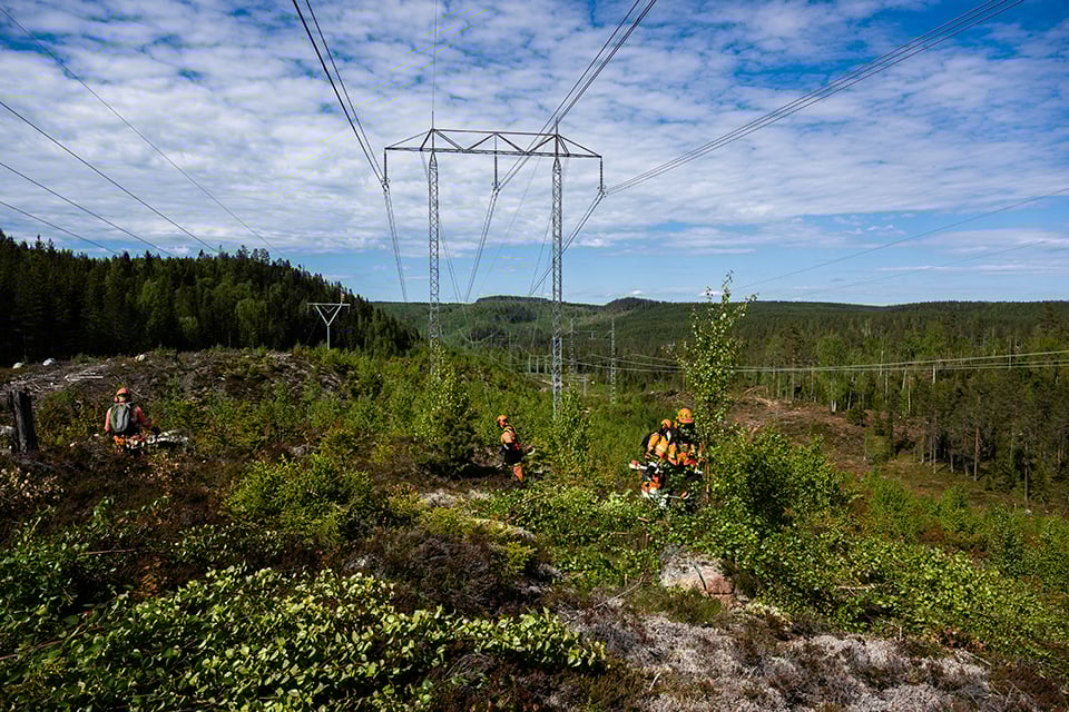 Röjare i arbete i ledningsgata