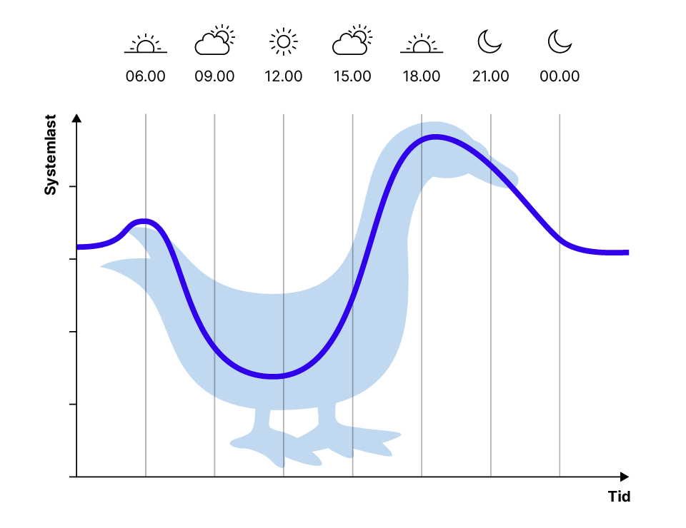 Diagram där formen ser ut som en ankas kontur. En liten topp på morgonen (ankans bak) och en kraftig topp på kvällen (ankans huvud och hals).