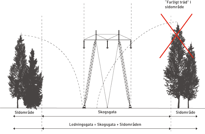 Bilden visar skogsgatan (närmast under ledningen) och sidoområdena.