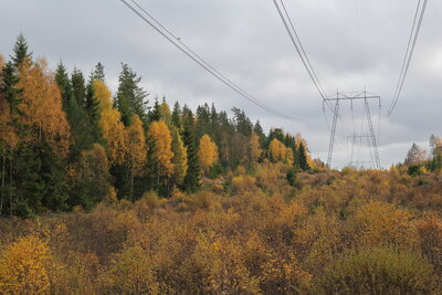 Bild på ledning i höstlandskap